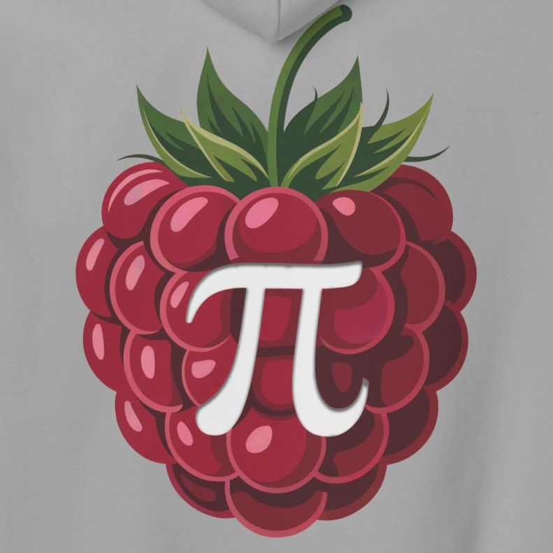 Raspberry Pi Hoodie — Tech Pullover