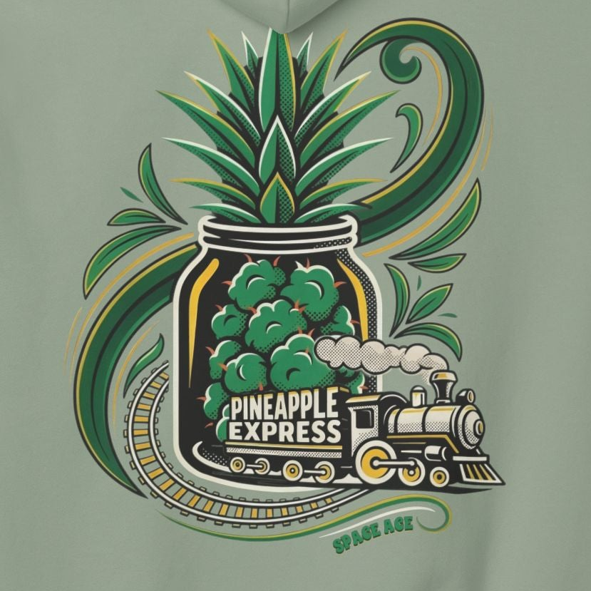 Pineapple Express Hoodie — Tropical Train Graphic Pullover